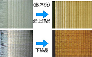 数年経った畳の色変化の比較（最上級品と下級品）